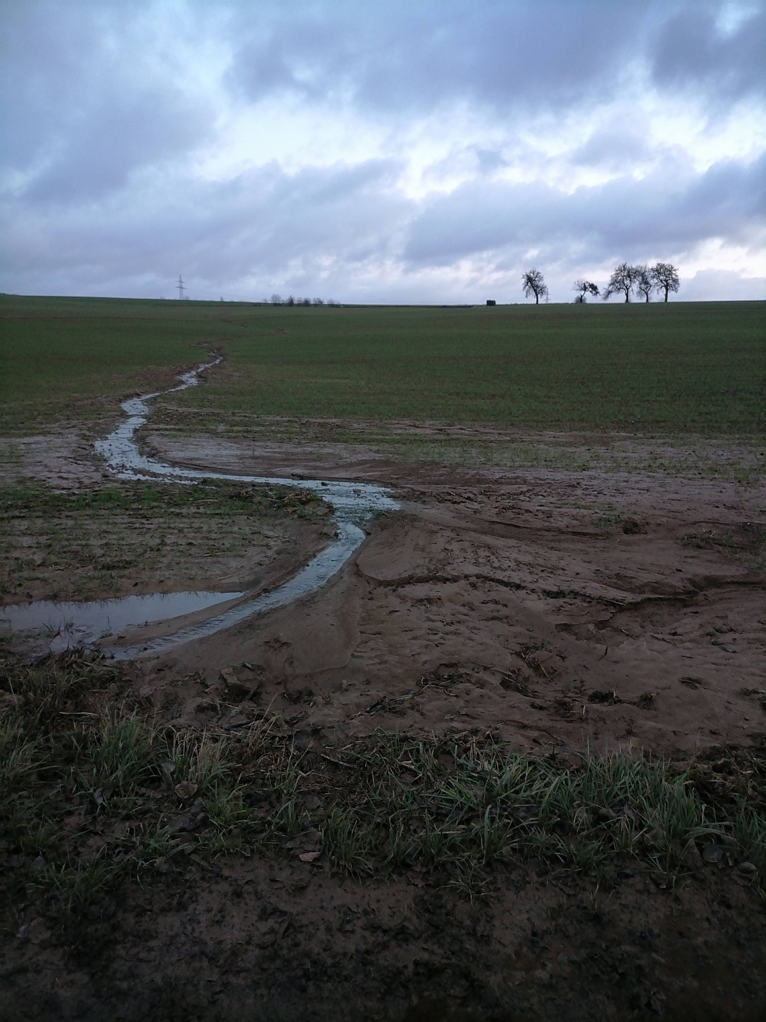 Steine an der Grenze, alte Wasserläufe