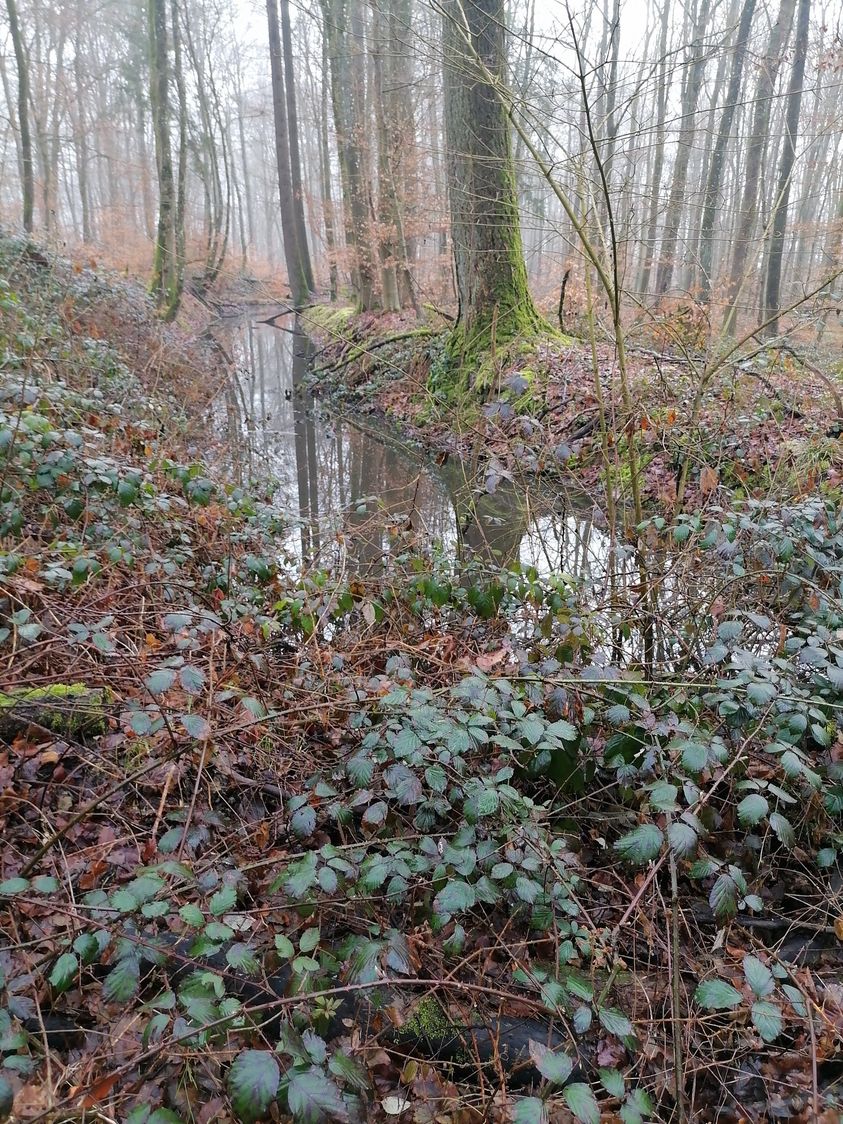 „Wassergraben“ …