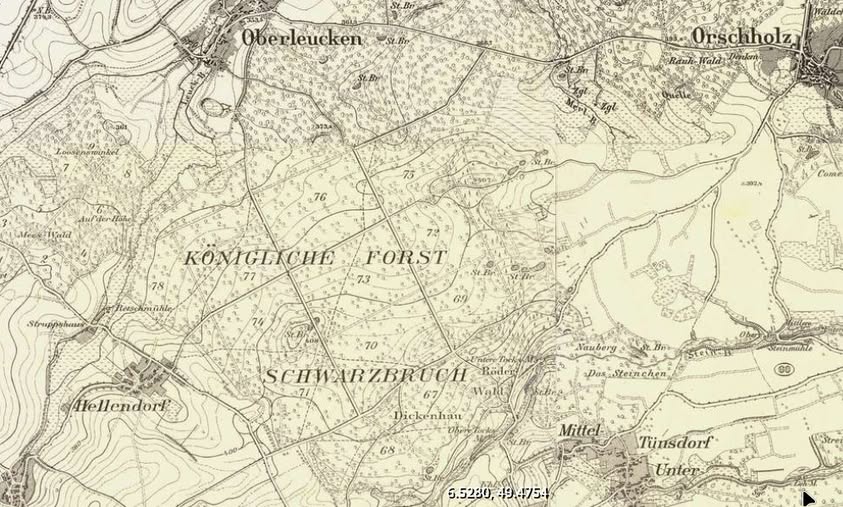 Schwarzbruch und Mertesholz – Ein urgeschichtliches Waldgebiet