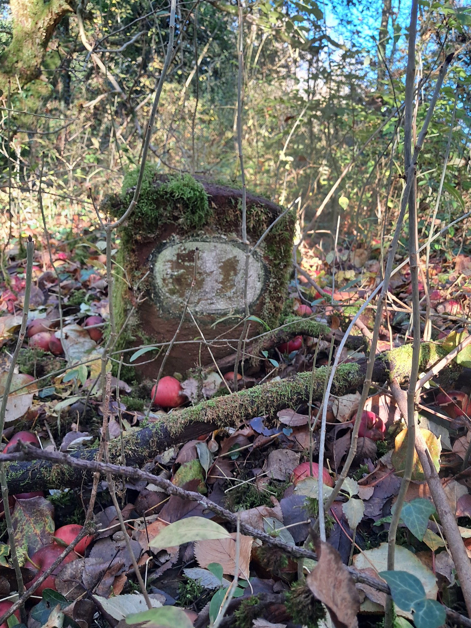Abenteuer auf alten Wegen: Der Kilometerstein bei Nau Stroos