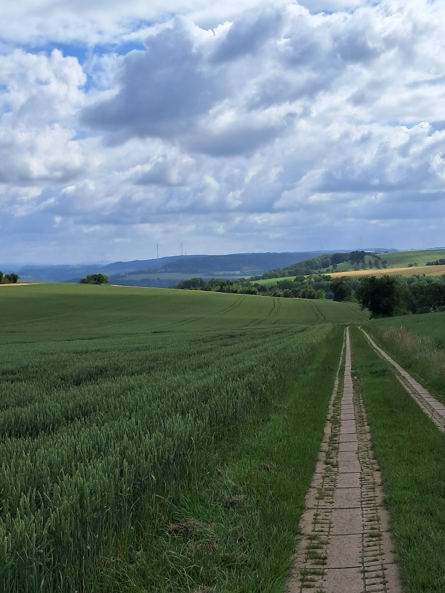 Wanderung über den Gau (14 Juni 2026)